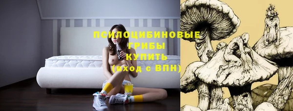 трава Армянск