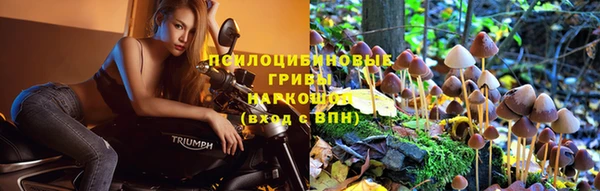 марки lsd Арсеньев