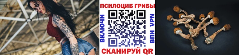 Галлюциногенные грибы прущие грибы  Углич 